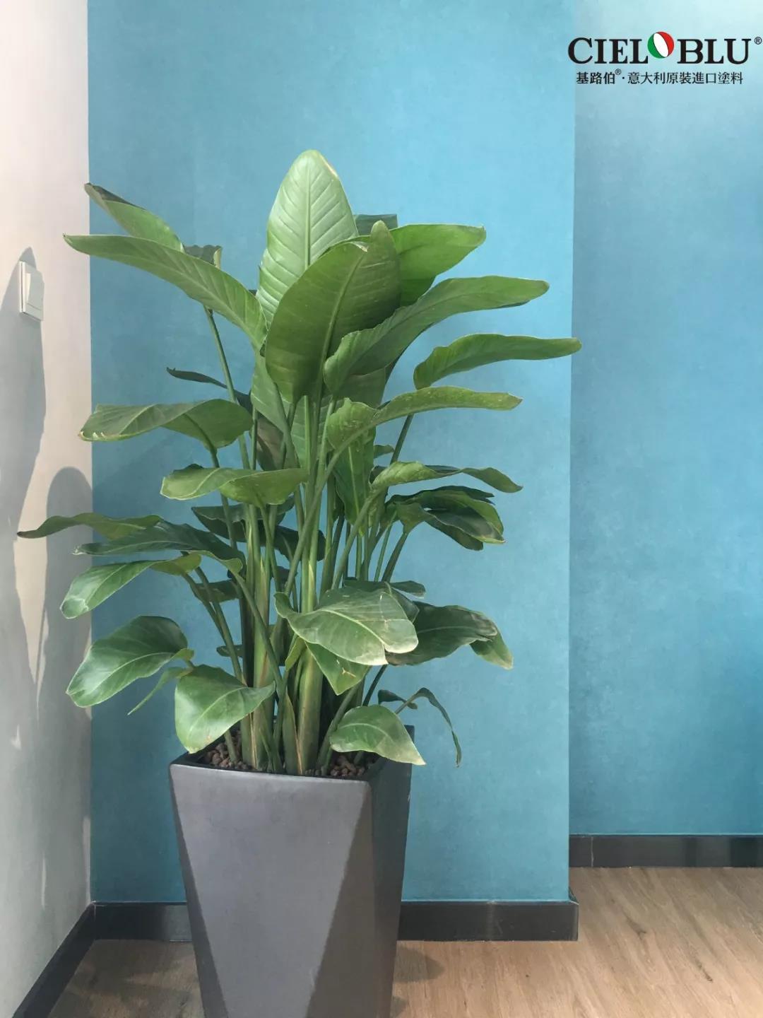 CIELOBLU基路伯佛山運(yùn)營中心牽手品牌一周年，涂裝體驗(yàn)再升級！(圖18)